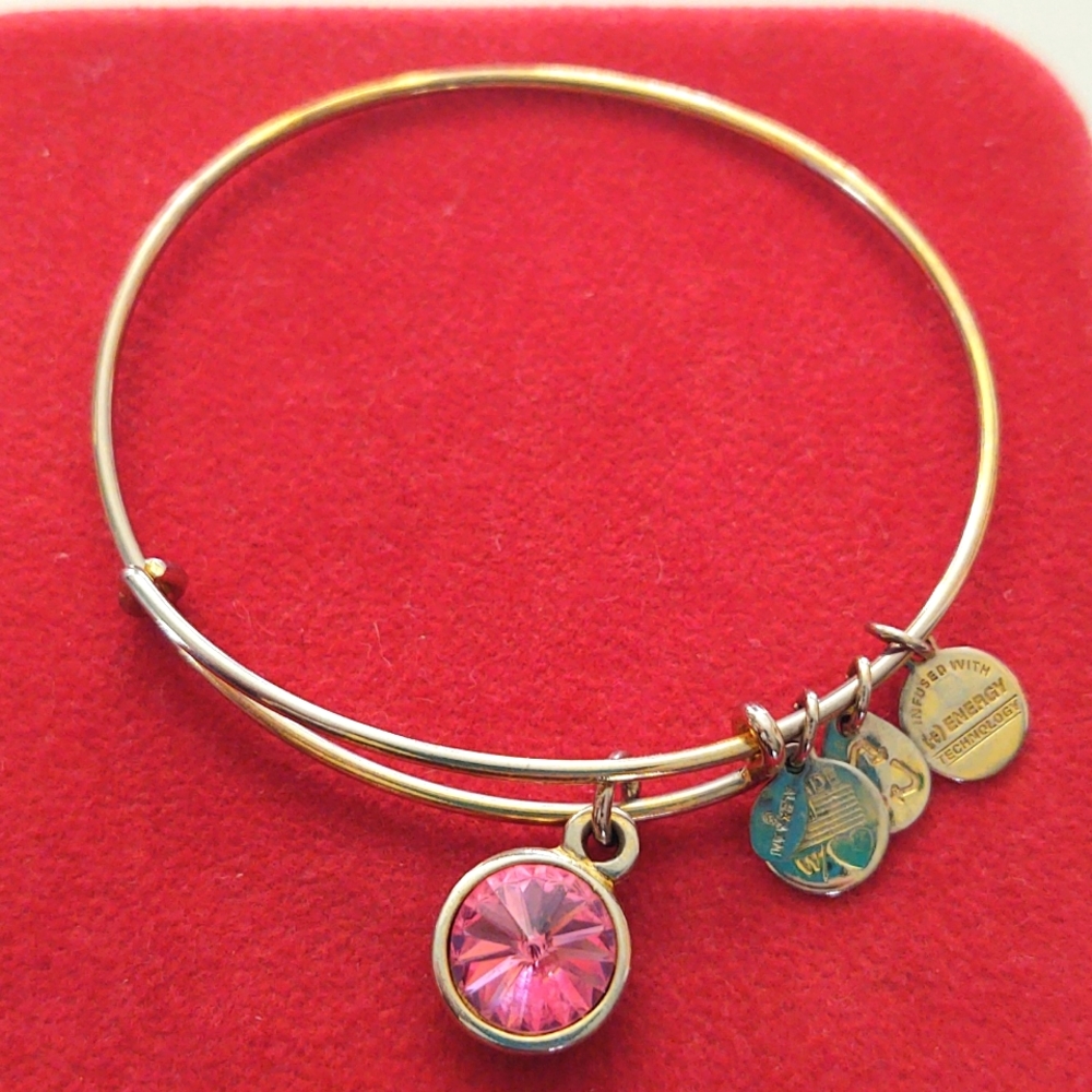 Alex and Ani Gold tone bracelet